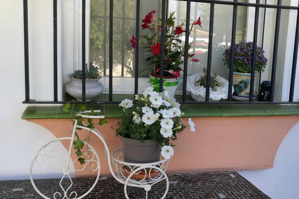 Вілла Casa Con Piscina Privada Y Jardin Чиклана-де-ла-Фронтера Екстер'єр фото