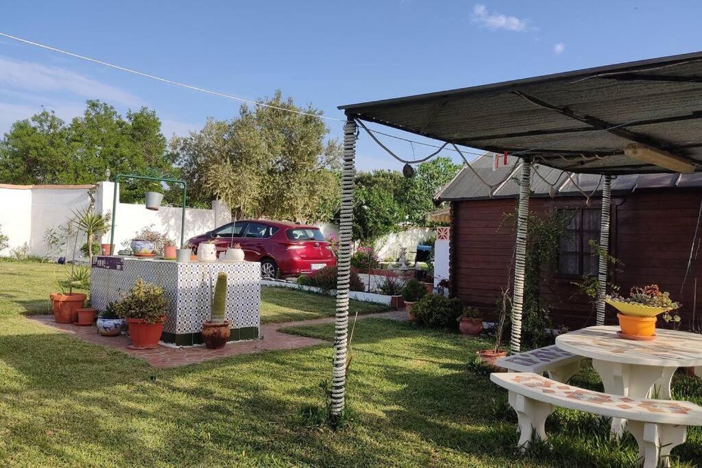 Вілла Casa Con Piscina Privada Y Jardin Чиклана-де-ла-Фронтера Екстер'єр фото